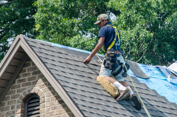 Quick and Trustworthy Emergency Roof Repair Services in Waterloo, IA